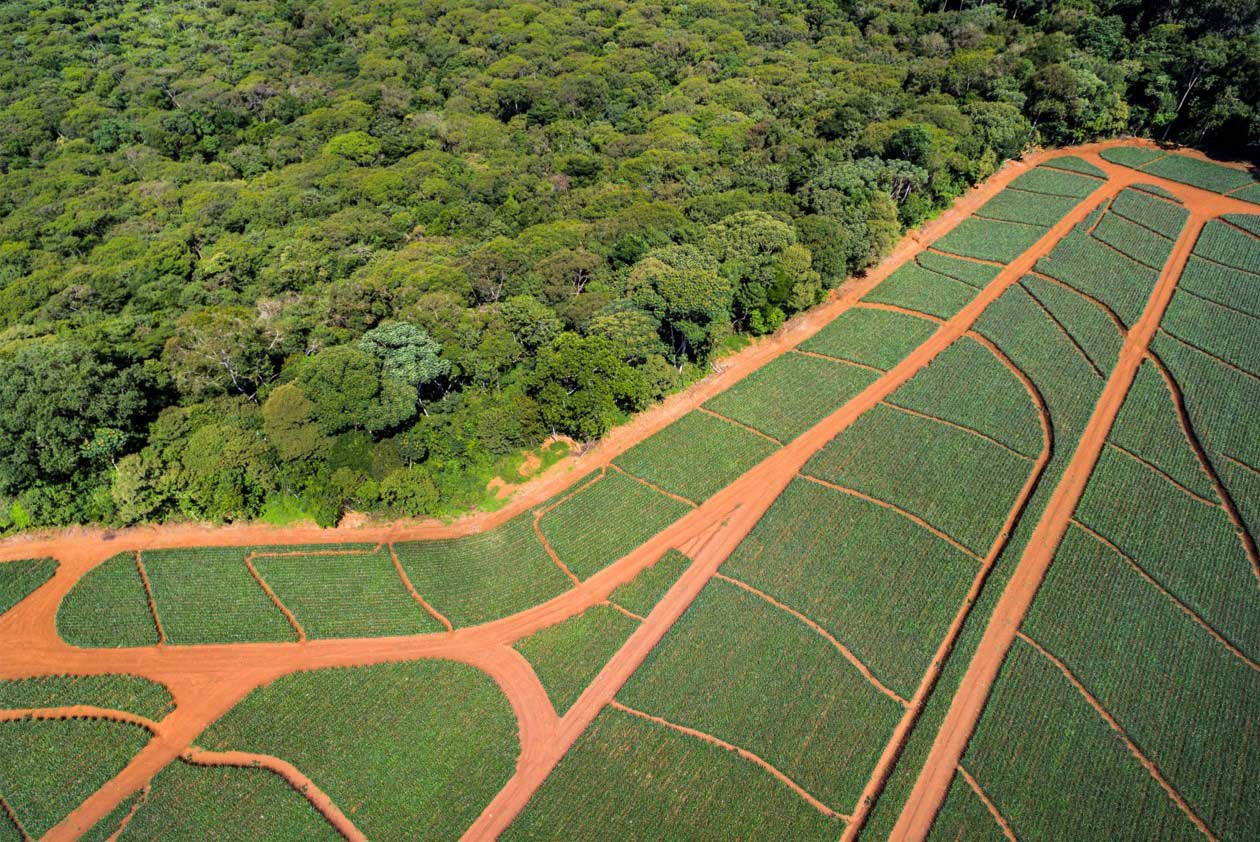 fdm farm land aerial view