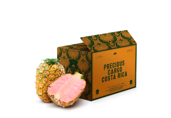Fresh Cut Produce - COSTA
