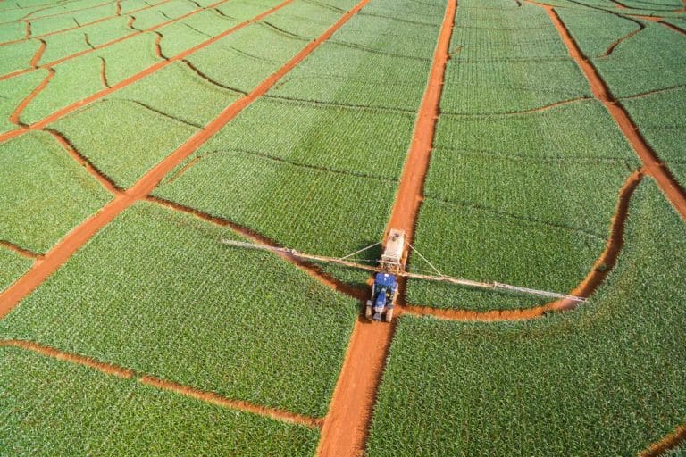 agriculture resilience