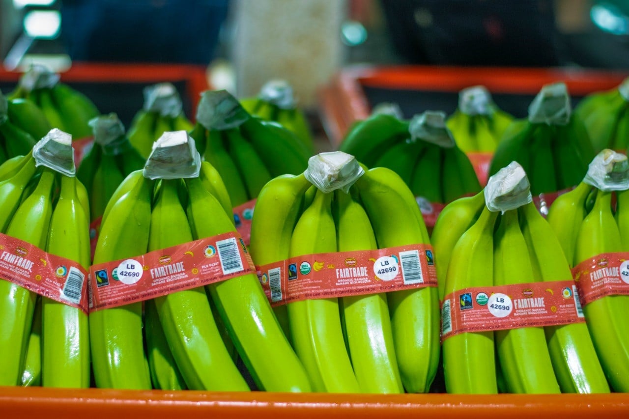 Fresh Del Monte Aims to Sell Fairtrade Certified Organic Bananas in the  U.S.